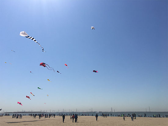 2019年沧州渤海新区全域旅游启动沧海文化风景区开放