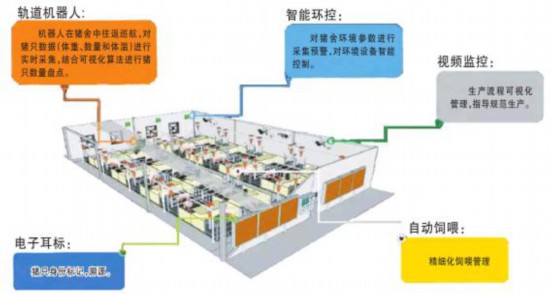 AI的风吹到养殖业 除了提质增效，还能解放人手