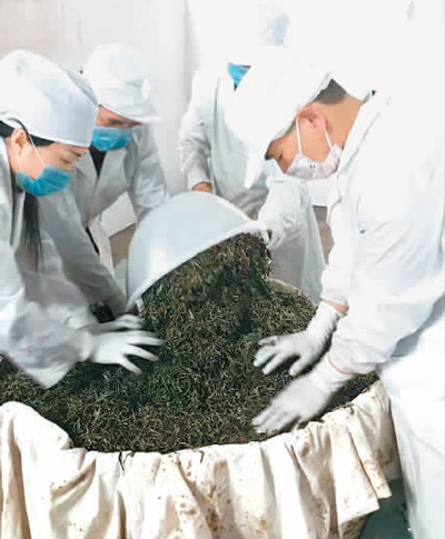 一片小茶叶，百亿大产业 ——云南省临沧市茶产业创牌记