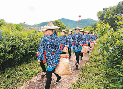 安溪举行喊山开茶文化节