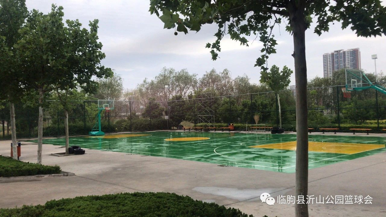 潍坊市临朐县举办首届“飓风杯”篮球公园联赛