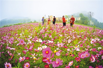 广西巴马：山沟沟变成度假好去处