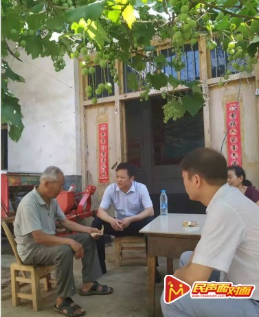 新野县——葡萄树下“忆初心、话扶贫”