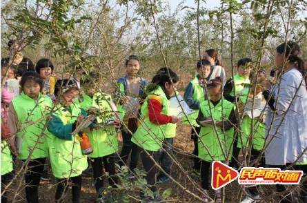 新野县王集镇：有个中药种植扶贫基地