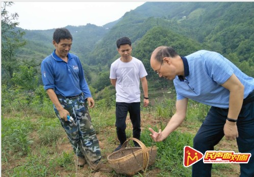 汉阴县铁佛寺镇：百日冲刺“四大行动”助力脱贫摘帽