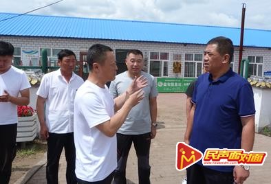 双鸭山市住建局领导深入夹信子镇调研美丽乡村建设工作