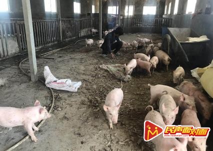 脱贫标兵胡海波，感恩流出幸福泪