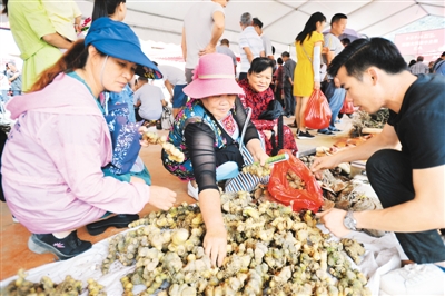 药价怎么了