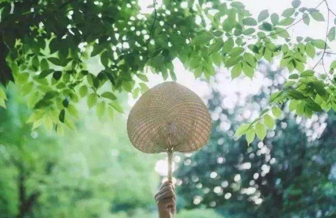悠悠夏日长，小扇引微凉