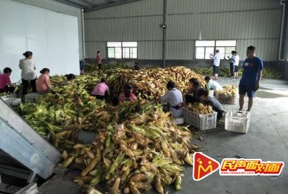 汉阴县铁佛寺镇：产业发展“三精准”稳定脱贫有保障