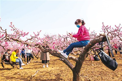 公民道德不是写在纸上挂在墙上的