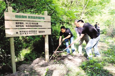 “智能环保”守护绿水青山