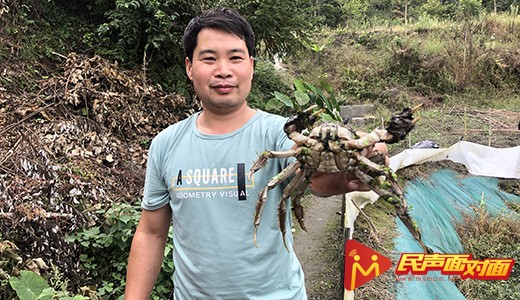 陕西汉阴：产业带贫致富 决战脱贫攻坚