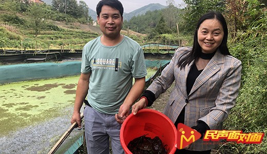 陕西汉阴：产业带贫致富 决战脱贫攻坚