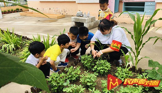 山东青岛：开展保育教育培训 加强教师队伍建设