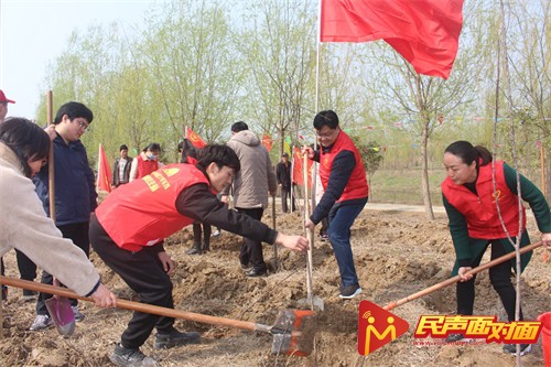 安徽亳州：“三级好人”来植树，美丽乡村在行动