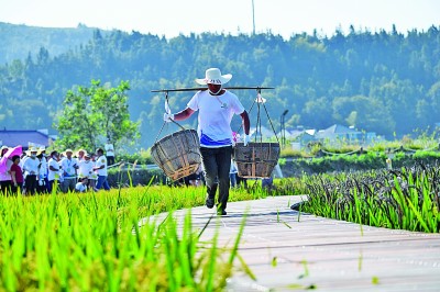 乡村振兴急需更多优秀“新农人”