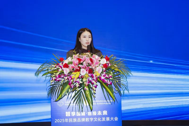 “智享国潮 链接未来”数字文化发展大会在南京举行