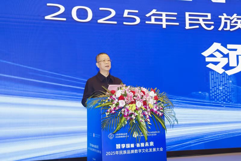 “智享国潮 链接未来”数字文化发展大会在南京举行