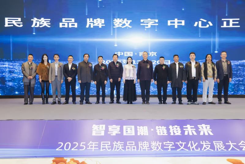 “智享国潮 链接未来”数字文化发展大会在南京举行