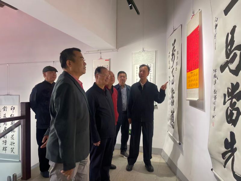 龙马精神启新春 张成生书法展亮相漳州