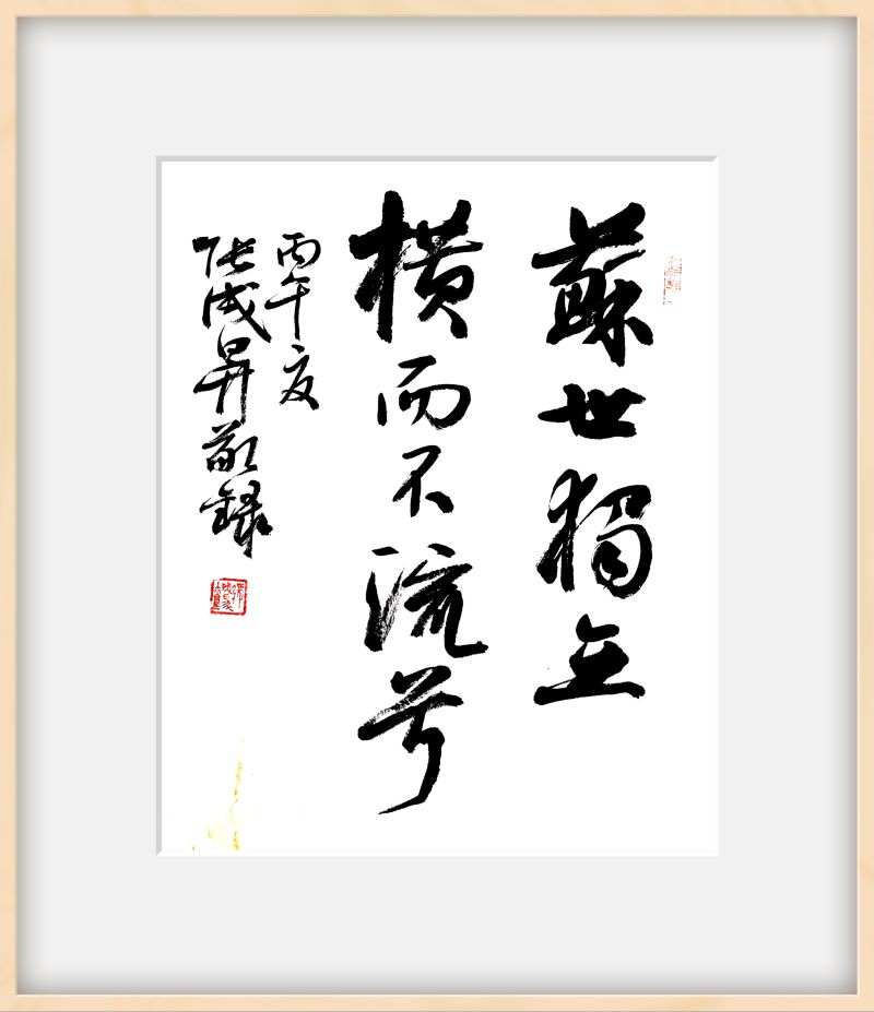 张成生书法作品展在顺德乐从举办